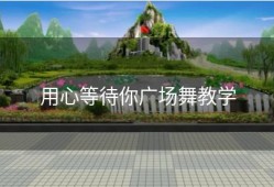 用心等待你广场舞教学