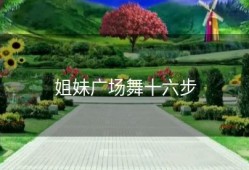 姐妹广场舞十六步