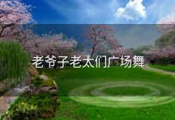 老爷子老太们广场舞
