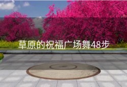 草原的祝福广场舞48步