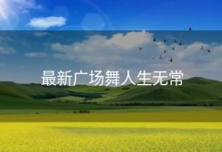 最新广场舞人生无常