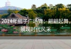 2014年扇子广场舞：翩翩起舞，展现时代风采