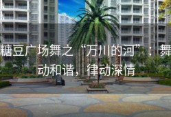 糖豆广场舞之“万川的河”：舞动和谐，律动深情