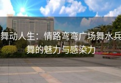舞动人生：情路弯弯广场舞水兵舞的魅力与感染力