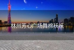 林州芳心广场舞棉袄祆