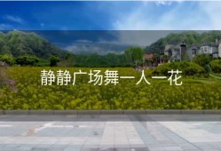 静静广场舞一人一花