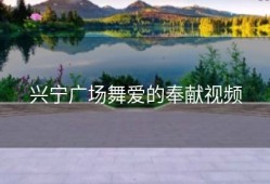 兴宁广场舞爱的奉献视频