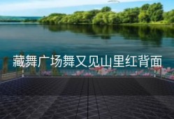 藏舞广场舞又见山里红背面