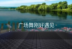 广场舞刚好遇见