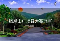 凤凰山广场舞大赛冠军