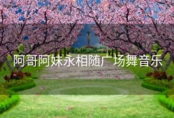阿哥阿妹永相随广场舞音乐