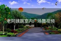 老阿姨跳室内广场舞视频