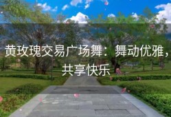 黄玫瑰交易广场舞：舞动优雅，共享快乐