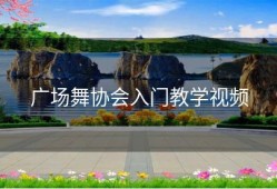 广场舞协会入门教学视频