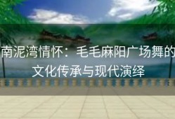 南泥湾情怀：毛毛麻阳广场舞的文化传承与现代演绎