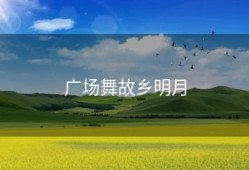广场舞故乡明月