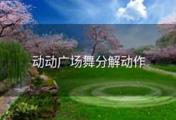 动动广场舞分解动作