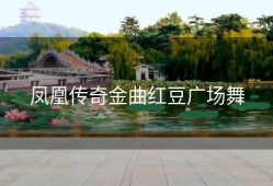 凤凰传奇金曲红豆广场舞