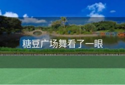 糖豆广场舞看了一眼