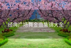 经典广场舞金曲集锦大全