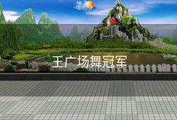 王广场舞冠军
