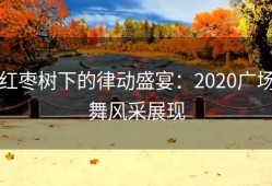 红枣树下的律动盛宴：2020广场舞风采展现