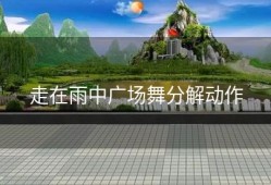 走在雨中广场舞分解动作