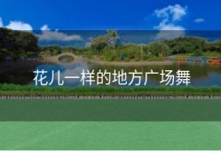 花儿一样的地方广场舞