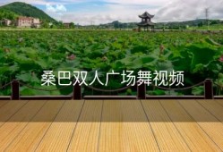 桑巴双人广场舞视频