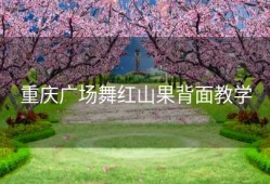 重庆广场舞红山果背面教学