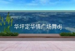 华坪定华情广场舞dj