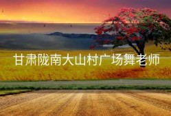 甘肃陇南大山村广场舞老师