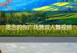 思念的你广场舞双人舞视频