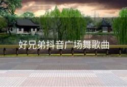 好兄弟抖音广场舞歌曲