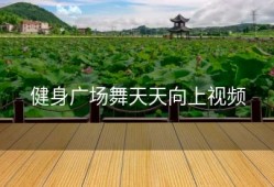 健身广场舞天天向上视频