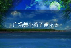 广场舞小燕子穿花衣