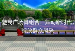 魅曳广场舞组合：舞动新时代，绽放群众风采