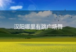 汉阳哪里有跳广场舞