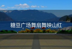 糖豆广场舞扇舞映山红