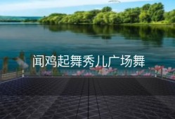 闻鸡起舞秀儿广场舞