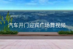 汽车开门迎宾广场舞视频