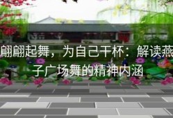 翩翩起舞，为自己干杯：解读燕子广场舞的精神内涵