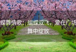 蝶舞情歌：蝴蝶双飞，爱在广场舞中绽放