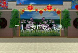 二十三步广场舞视频