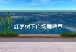 红枣树下广场舞糖豆