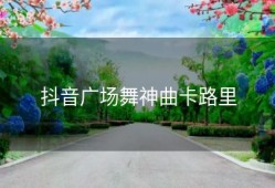 抖音广场舞神曲卡路里
