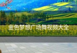 金色梦想广场舞视频大全