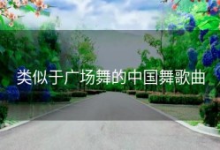 类似于广场舞的中国舞歌曲