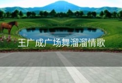 王广成广场舞溜溜情歌