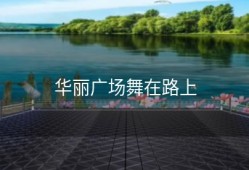 华丽广场舞在路上